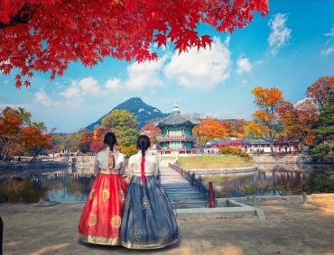 The Global Rise of the South Korean Film Industry